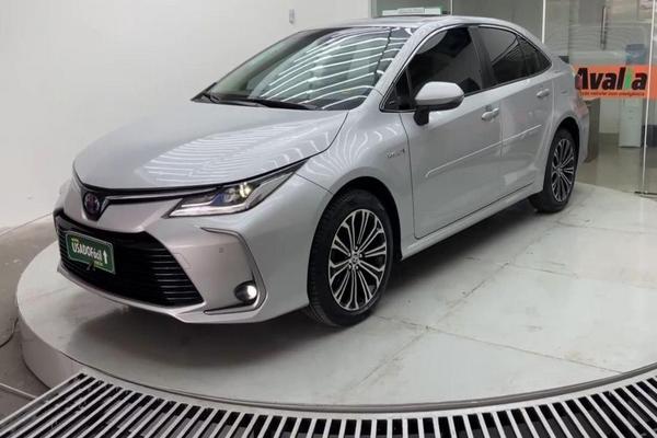 895_2025-02-09T182452.015-0300