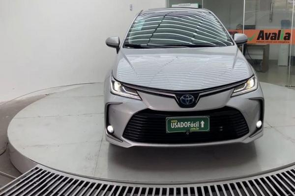 895_2025-02-09T182452.016-0300