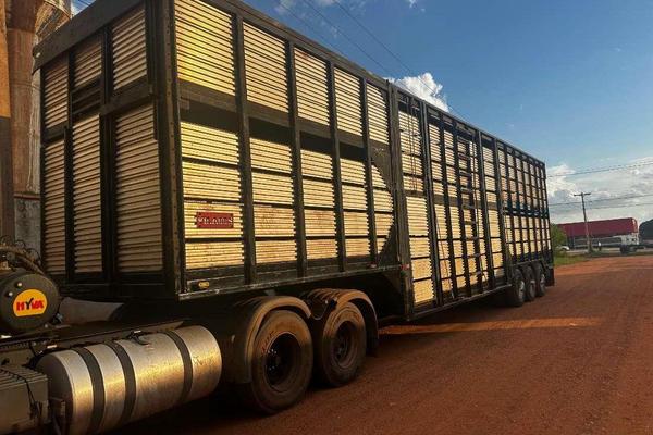 928_2025-02-09T192903.633-0300