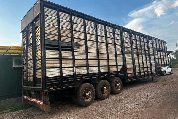 928_2025-02-09T192903.634-0300