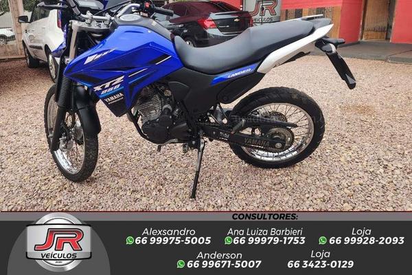 935_2025-02-09T194417.783-0300