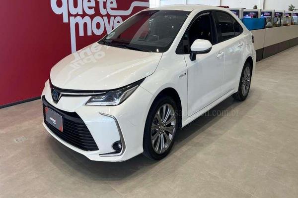 943_2025-02-09T195949.690-0300