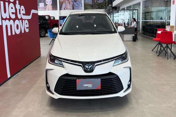 943_2025-02-09T195949.691-0300