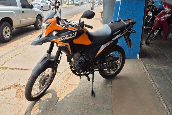 949_2025-02-09T201236.782-0300