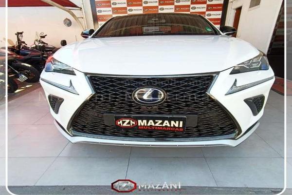 977_2025-02-09T211836.266-0300