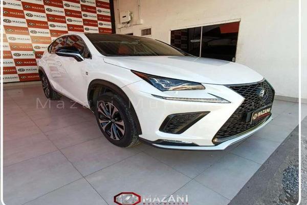 977_2025-02-09T211836.268-0300