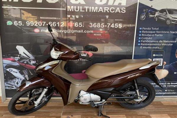 991_2025-02-09T214629.427-0300