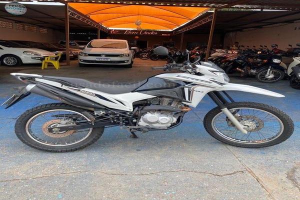 991_2025-02-09T214854.755-0300