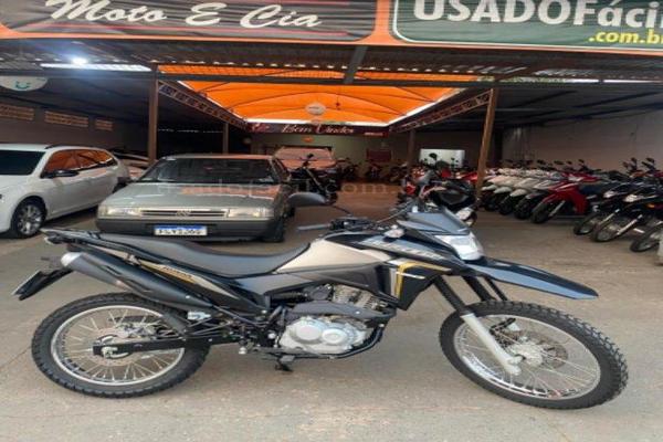 991_2025-02-09T214858.949-0300