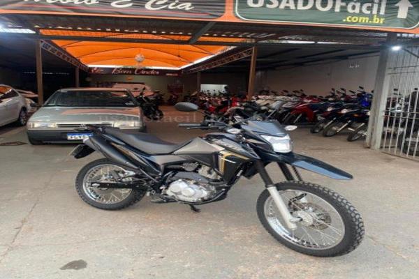 991_2025-02-09T214858.950-0300