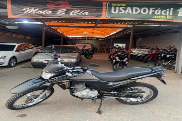 991_2025-02-09T214858.953-0300