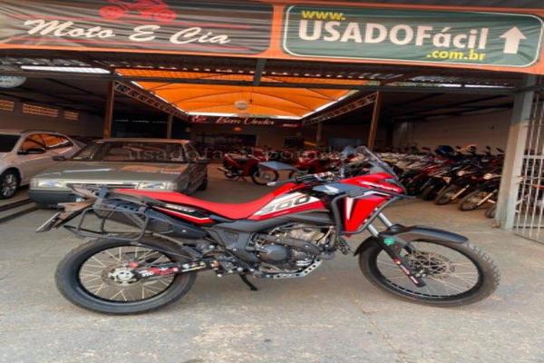 991_2025-02-09T214926.727-0300