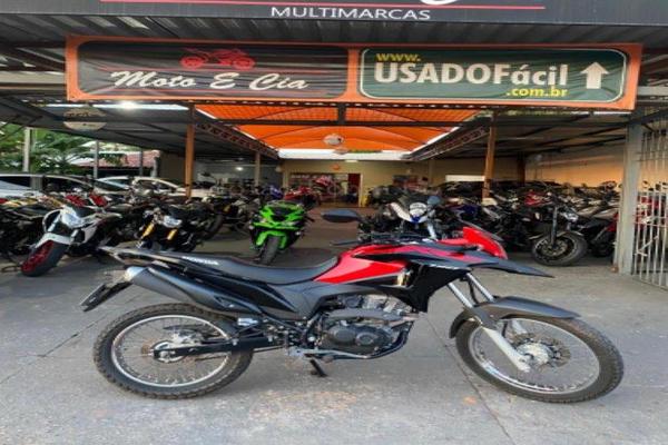 991_2025-02-09T214951.902-0300