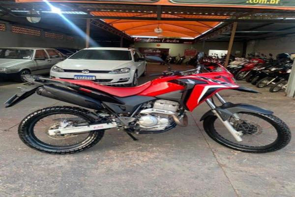 991_2025-02-09T215004.235-0300