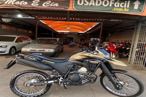 991_2025-02-09T215012.116-0300