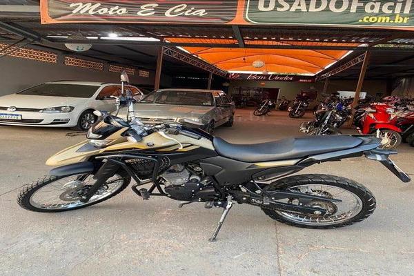 991_2025-02-09T215012.120-0300