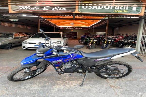 991_2025-02-09T215016.314-0300