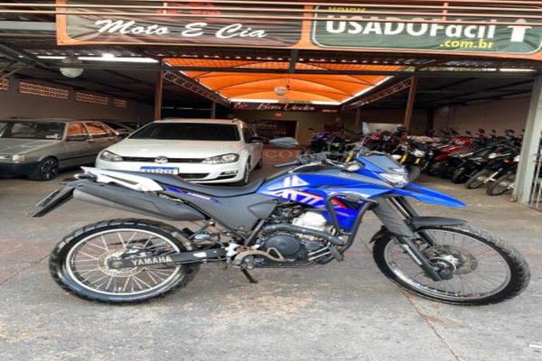 991_2025-02-09T215016.315-0300