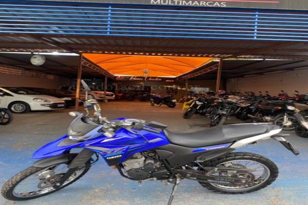 991_2025-02-09T215020.493-0300