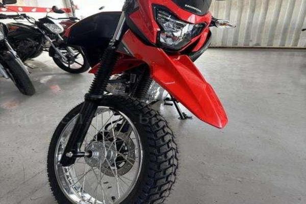 992_2025-02-09T215226.664-0300